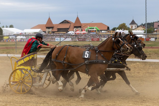 响生产的情 响生产的情