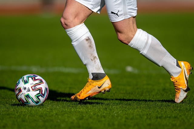 他们不仅愿 他们不仅愿