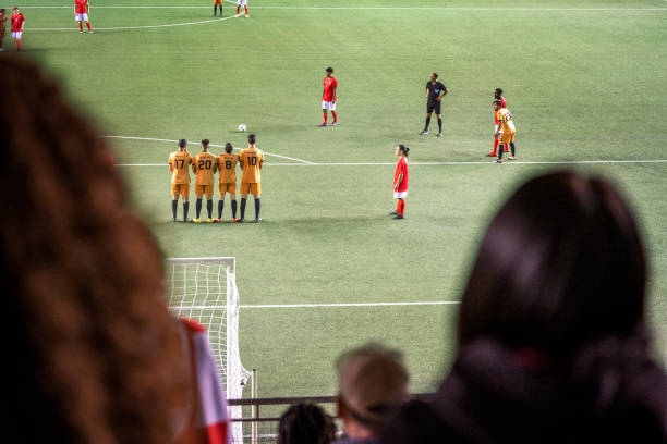 本次欧锦赛 本次欧锦赛